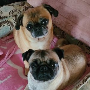 Meet your Posher, Stacey